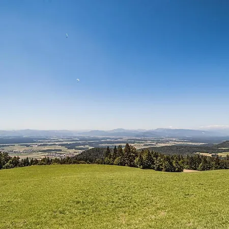 Zvoh, Krvavec, Ski-in, Ski-out Appartement