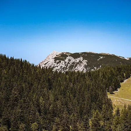 Zvoh, Krvavec, Ski-in, Ski-out * Cerklje na Gorenjskem