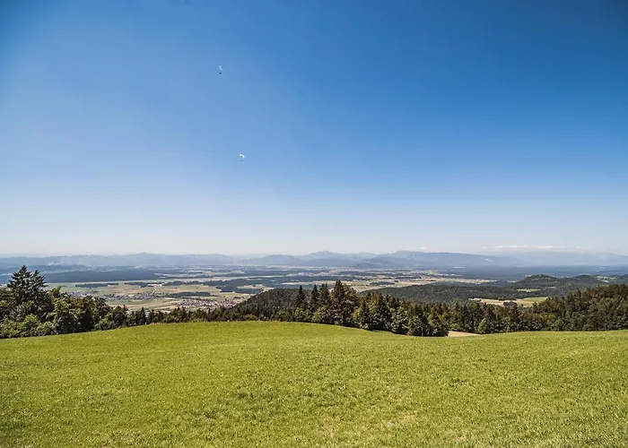 Zvoh, Krvavec, Ski-in, Ski-out Appartement